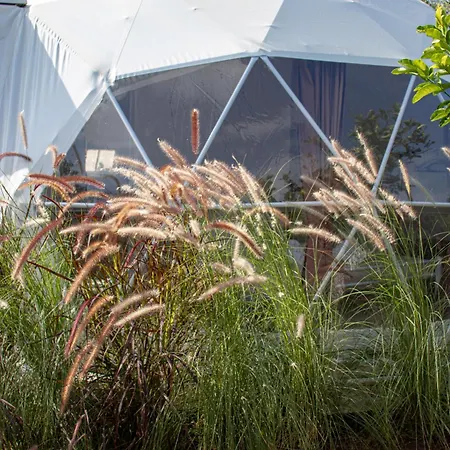 Campsite Lemon Tree Dome House *