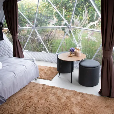 Campsite Lemon Tree Dome House