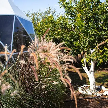 Lemon Tree Dome House Campsite *