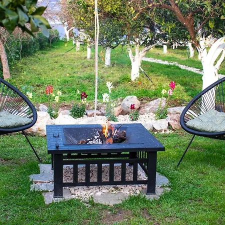 Lemon Tree Dome House Campsite