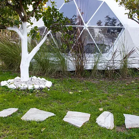 Lemon Tree Dome House *