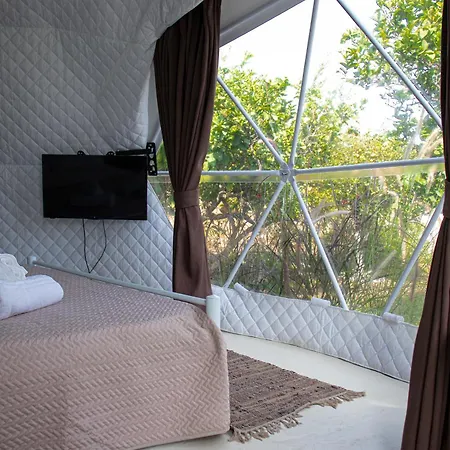 Lemon Tree Dome House Kemping *